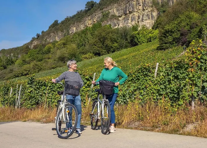 Weingut-Ferienwohnung Heinz Dostert