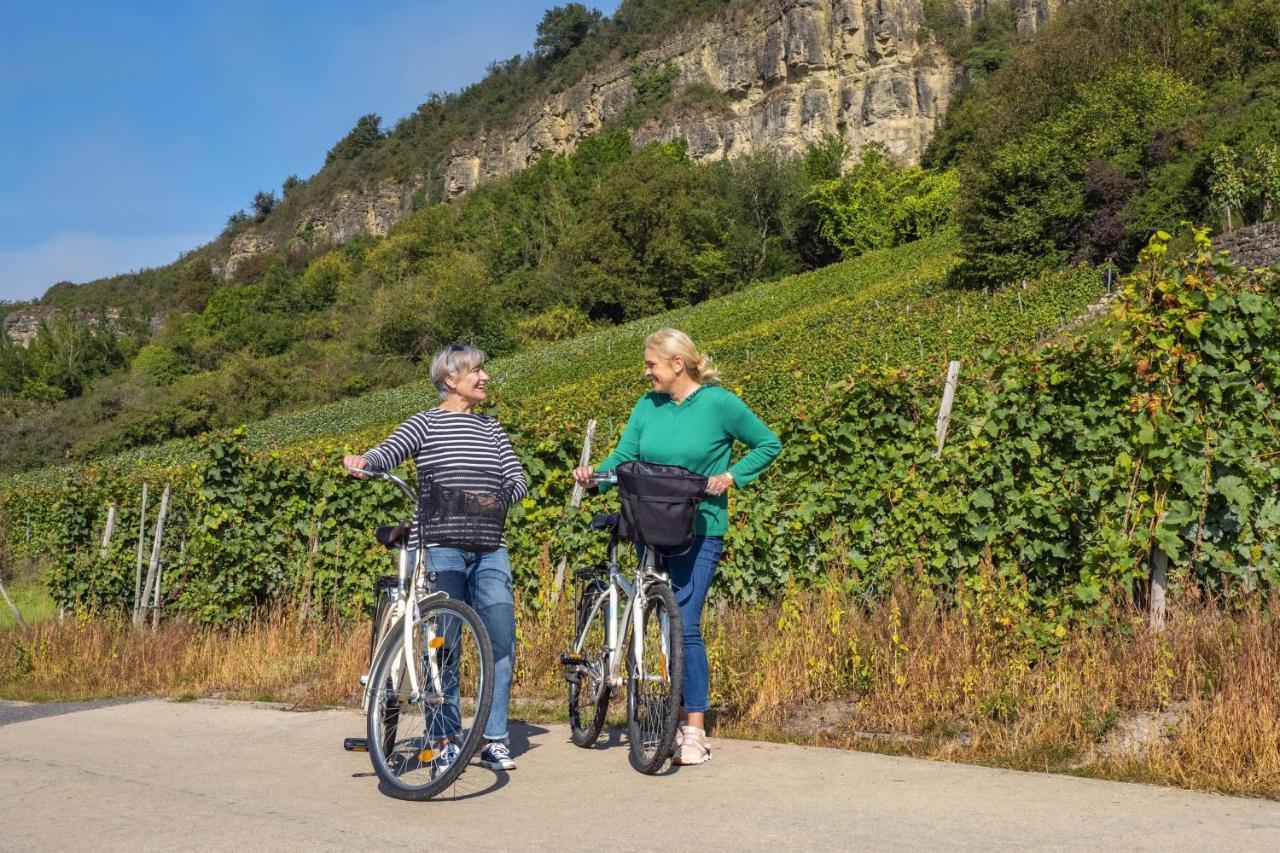 Apartment Weingut-ferienwohnung Heinz Dostert *