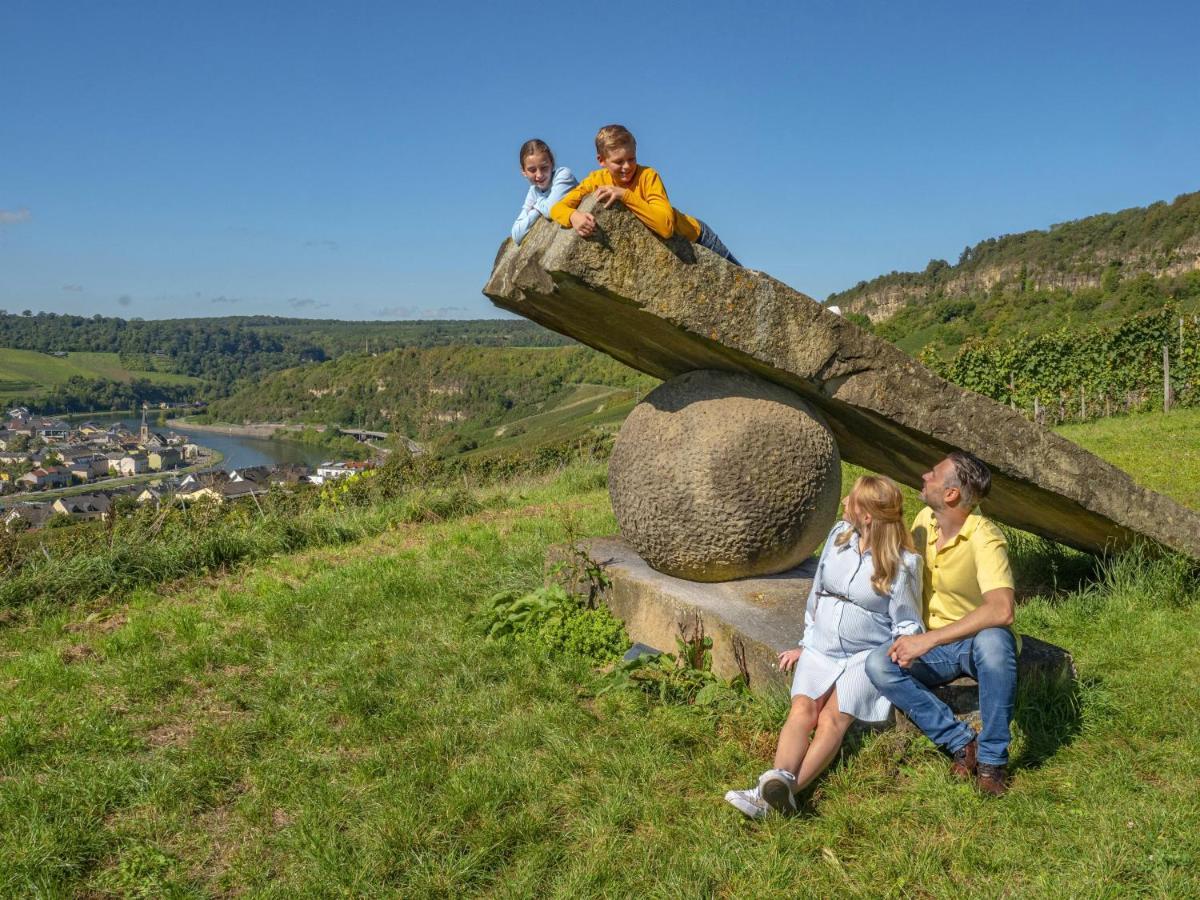Weingut-ferienwohnung Heinz Dostert Apartment Nittel